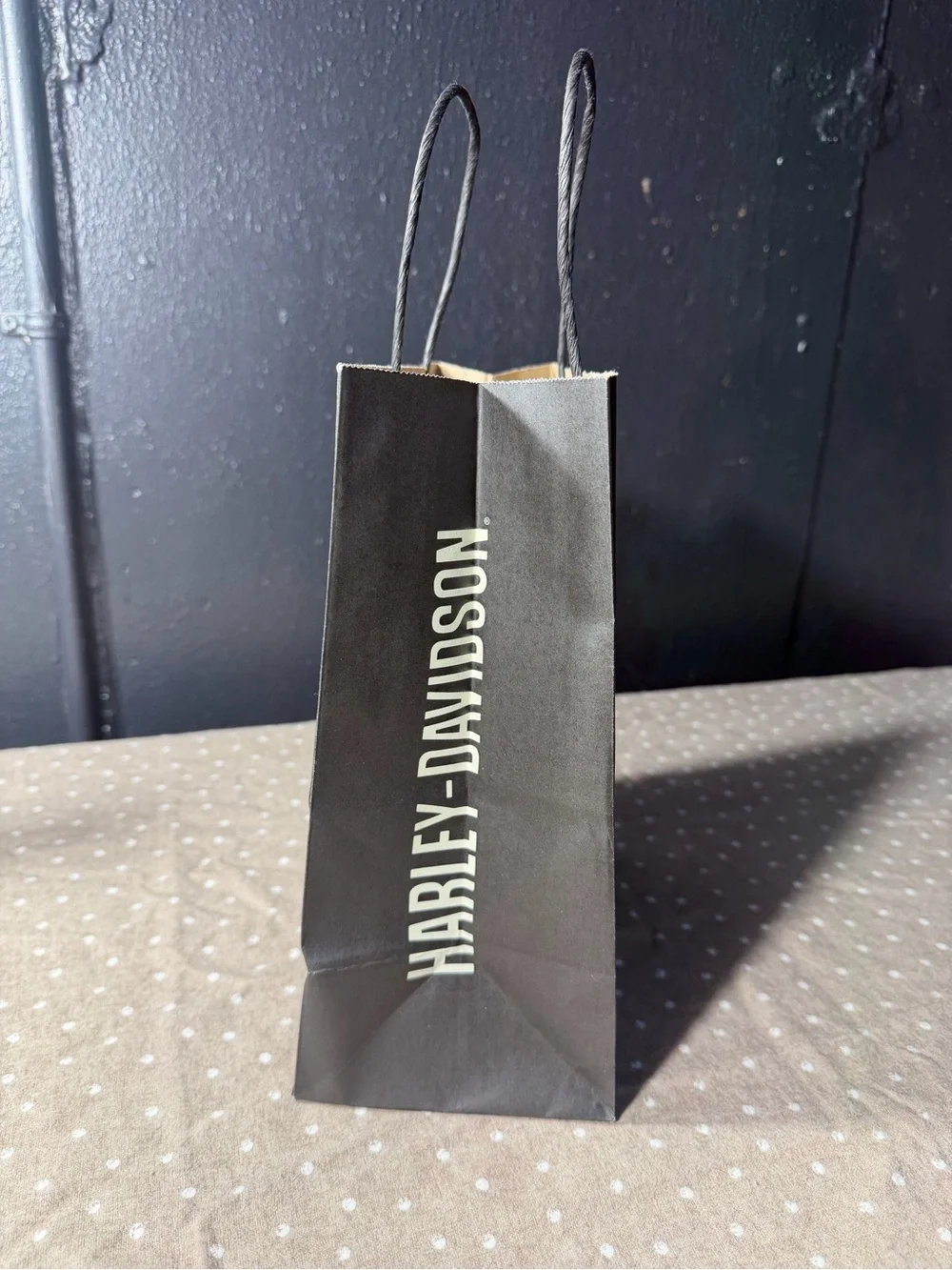 Harley-Davidson Black Paper Gift Bag with White Logo